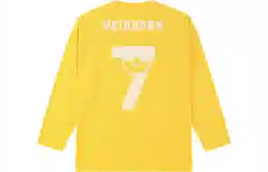 VEIDOORN x POKEMON T