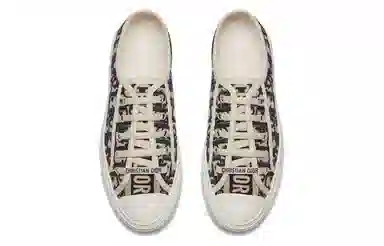 DIOR Walk'n'Dior Oblique