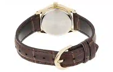 Casio Dress MTP-V001GL-9B LTP-V001GL-9B