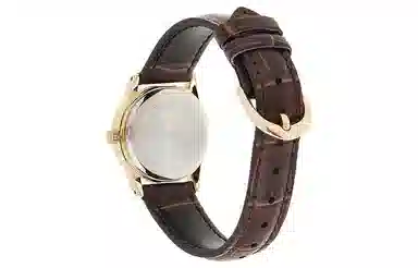 Casio Dress MTP-V001GL-9B LTP-V001GL-9B