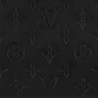 Louis Vuitton Gaston WW