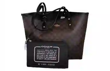 COACH Reversible City Tote 33
