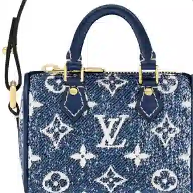 LOUIS VUITTON Speedy Micro