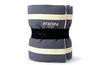 FION