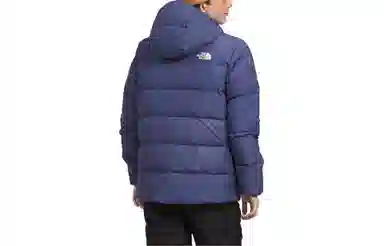 The North Face North Down Parka Purple