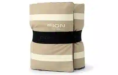 FION