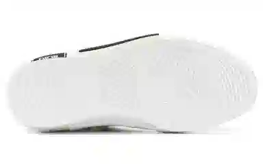 DIOR B23 oblique