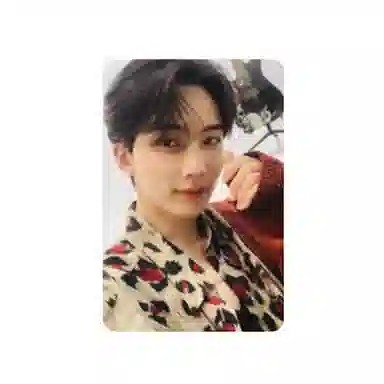 HYBE SEVENTEEN EP DREAM D