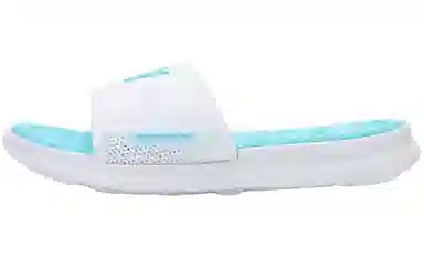 VEIDOORN