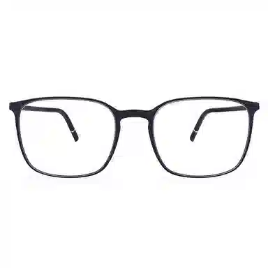 Silhouette2954