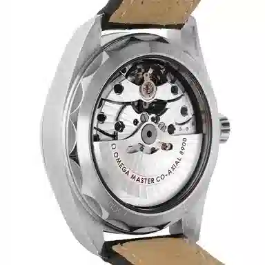 OMEGA AQUA TERRA 41mm 220.13.41.21.10.001