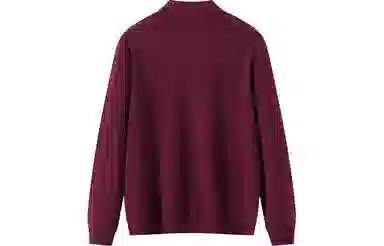 恒源祥 针织时尚翻领纯色毛衣 男款