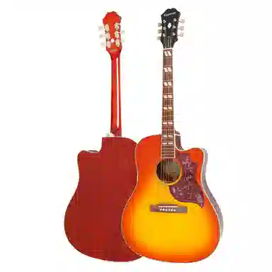 Epiphone Hummingbird Performer Pro