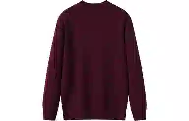 恒源祥 半高领花版纯色纯羊毛针织毛衣 男款