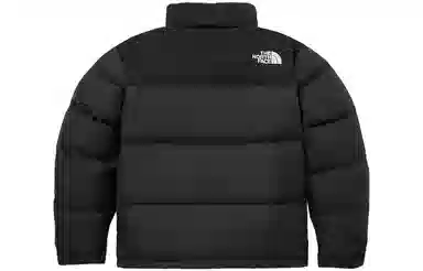 The North Face Novelty Nuptse Black