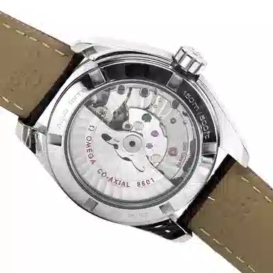 OMEGAAQUA TERRA 150 231.13.39.22.02.001