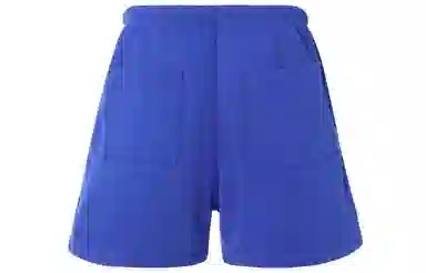 adidas Blue Version Shorts