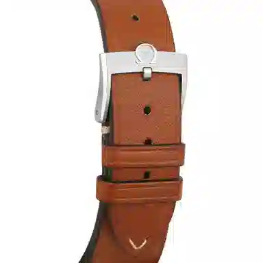 OMEGA 43mm 329.32.43.51.03.001
