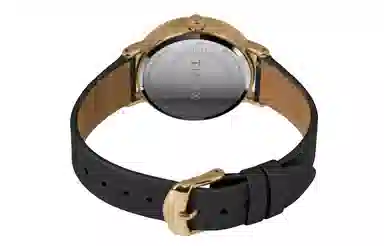 TIMEX TREND 37mm 30 TW2T87600