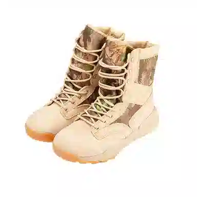 BEAR UNION Fierce battle