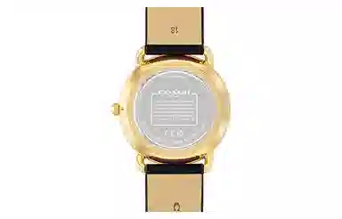 COACHELLIOT 36mm CLOGO 14504245