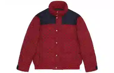 Gucci FW23 Printed Down Hoodie Jacket Red