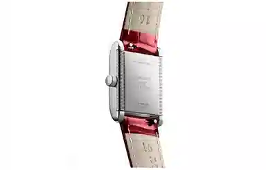 LONGINES 30 21.5*29mm L5.200.4.71.5