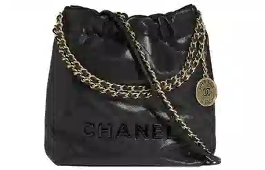 CHANEL 22Bag 23K