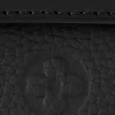 LOUIS VUITTON Nano Steamer