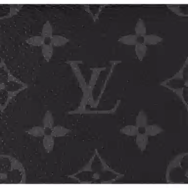 Louis Vuitton Pochette Voyage Black