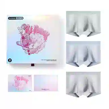 PLAN IN 3