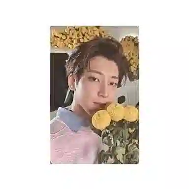 HYBE SEVENTEEN 8Your Choice