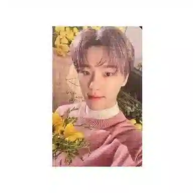 HYBE SEVENTEEN 8Your Choice