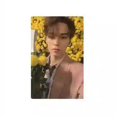 HYBE SEVENTEEN 8Your Choice