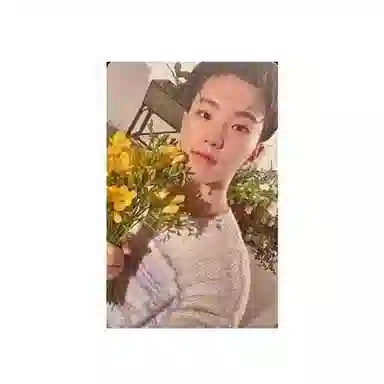 HYBE SEVENTEEN 8Your Choice