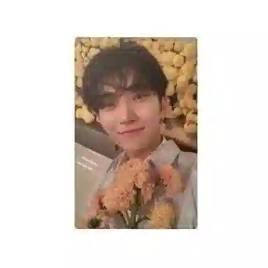 HYBE SEVENTEEN 8Your Choice