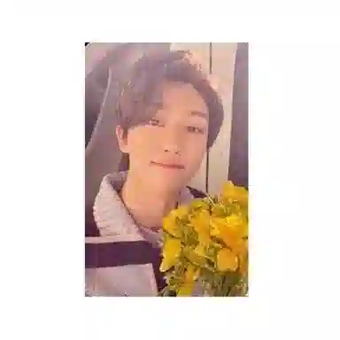 HYBE SEVENTEEN 8Your Choice