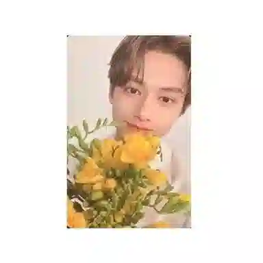 HYBE SEVENTEEN 8Your Choice