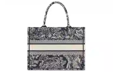 Dior Book Tote Blue