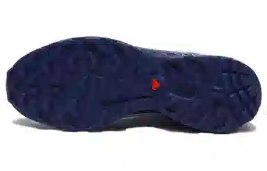 SALOMON XT-6