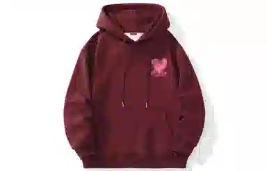 REXSHION Hoodie