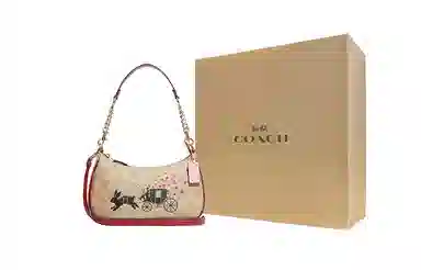 COACH Teri 25