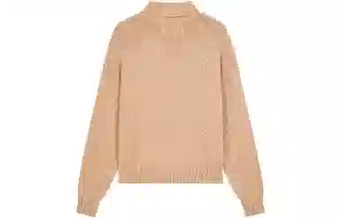 Champion FW23 Rochester Logo