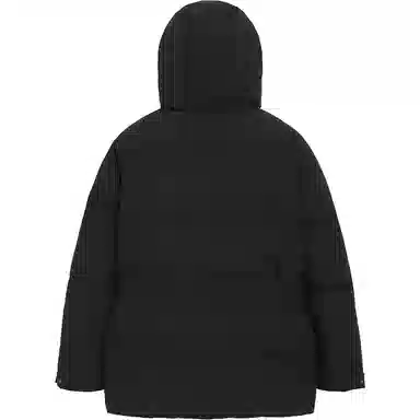 MOLY VIVI 2023