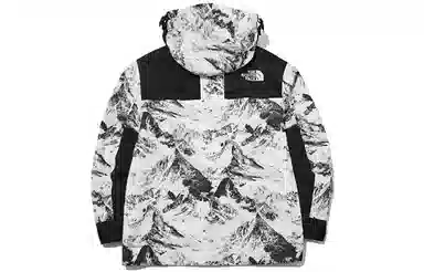 The North Face Gore-Tex 1990 Series