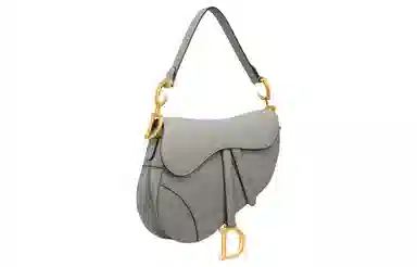 Dior Saddle Bag Grey
