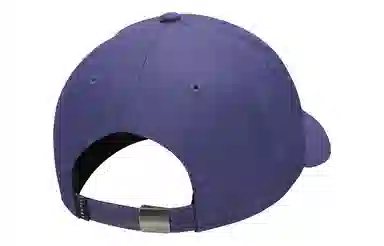 Jordan 3D Logo Cap Purple