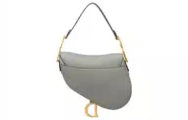 Dior Saddle Bag Grey