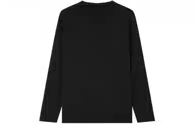 Champion FW23 Basic LogoT