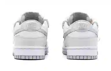 Nike Dunk Low GS White Silver